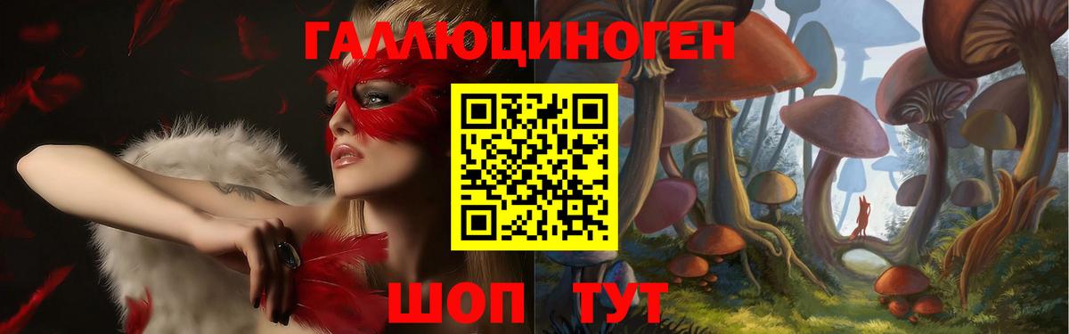 Галлюциногенные грибы MAGIC MUSHROOMS  где купить   Зима  Вход с VPN 